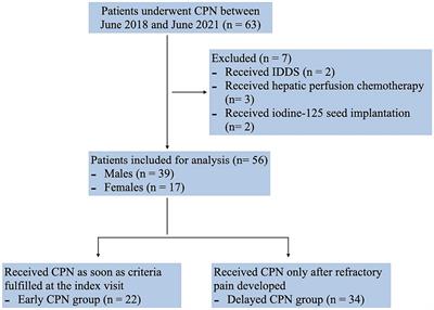 Early versus delayed computed tomography-guided celiac plexus neurolysis for palliative pain management in patients with advanced pancreatic cancer: a retrospective cohort study